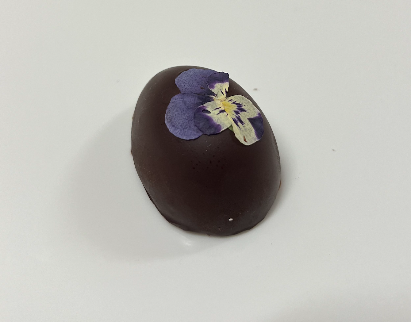 Chocolate Ganache Egg