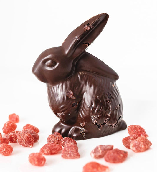 Dark Chocolate Strawberry Shy Bunny